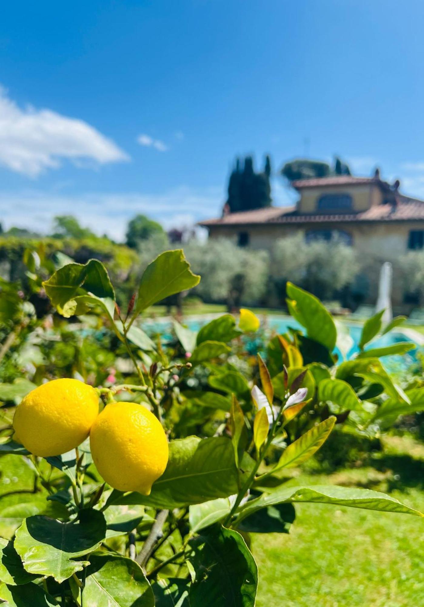 Villa Giotto Florence Pozzolatico Bagian luar foto